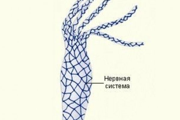 Кракен маркет даркнет speed up