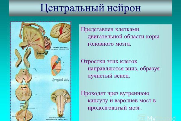 Кракен даркнет ссылка для тор
