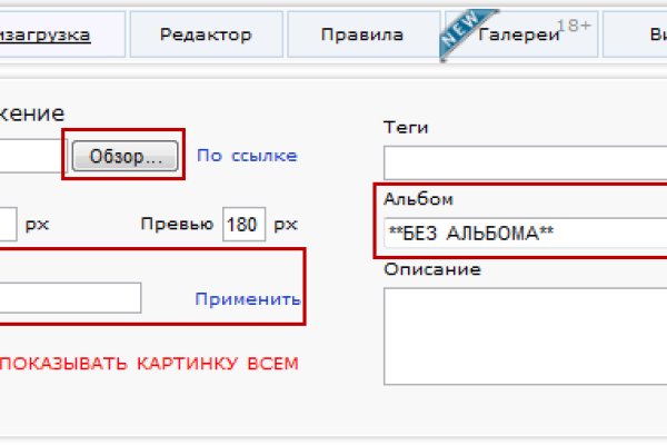Kraken url