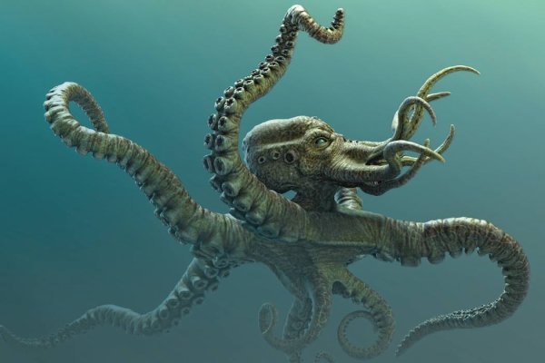 Кракен krakens13 at