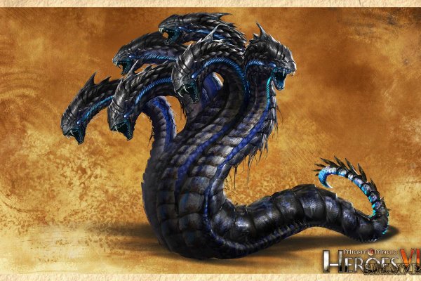 Kraken 20at